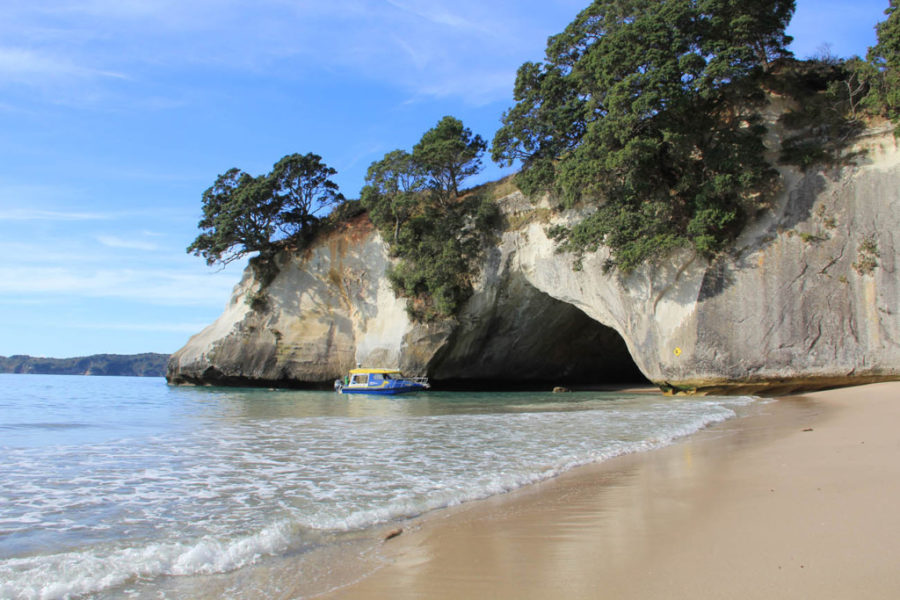 Cathedral Cove guided boat tour, Coromandel, New Zealand