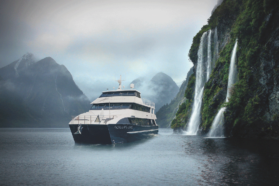milford sound cruise cost